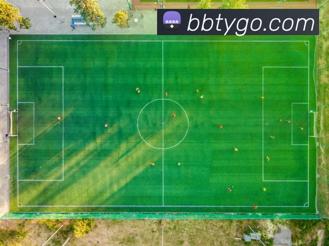 百博体育官网平台生态图